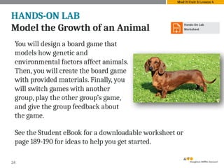 24
HANDS-ON LAB
Model the Growth of an Animal
You will design a board game that
models how genetic and
environmental factors affect animals.
Then, you will create the board game
with provided materials. Finally, you
will switch games with another
group, play the other group’s game,
and give the group feedback about
the game.
See the Student eBook for a downloadable worksheet or
page 189-190 for ideas to help you get started.
Mod B Unit 3 Lesson 4
 