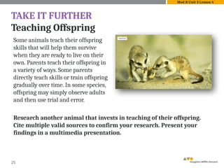 25
TAKE IT FURTHER
Teaching Offspring
Some animals teach their offspring
skills that will help them survive
when they are ready to live on their
own. Parents teach their offspring in
a variety of ways. Some parents
directly teach skills or train offspring
gradually over time. In some species,
offspring may simply observe adults
and then use trial and error.
Mod B Unit 3 Lesson 4
Research another animal that invests in teaching of their offspring.
Cite multiple valid sources to confirm your research. Present your
findings in a multimedia presentation.
 