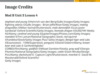 Image Credits
Mod B Unit 3 Lesson 4
elephant and young ©Heinrich van den Berg/Gallo Images/Getty Images;
fighting zebras ©Gallo Images - Brian Joffe/Riser/Getty Images; mating
dragonflies ©Milan Vachal/Shutterstock; male damselfish ©Luis Javier
Sandoval/ Oxford Scientific/Getty Images; Komodo dragon ©SURZ/YAY Media
AS/Alamy; cardinal and young ©JupiterImages/Photos.com/Getty Images;
manakin ©Tim Laman/National Geographic Stock; red squirrel
©hardeko/iStock/Getty Images Plus/ Getty Images; Bengal tiger and cubs
©Exactostock - 1598/Superstock; penguins ©David Osborn/Alamy; brown
bear and cubs © Sanford/Agliolo/
CORBIS/Flirt/Alamy; goldfish ©Mikael Damkier/Fotolia; gray wolf ©Sergio
Pitamitz/National Geographic/Getty Images; cattle ©Sam Wirzba/Design
Pics/Alamy; dachshund © Capture Light/Shutterstock; meerkat © David W.
Macdonald/Oxford Scientific/
Getty Images
27
Mod B Unit 3 Lesson 4
 