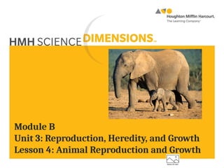 Module B
Unit 3: Reproduction, Heredity, and Growth
Lesson 4: Animal Reproduction and Growth
 