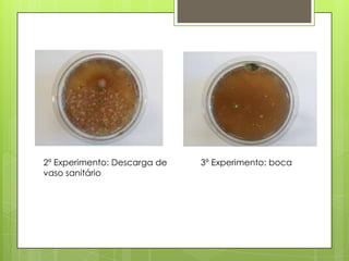 2º Experimento: Descarga de
vaso sanitário
3º Experimento: boca
 
