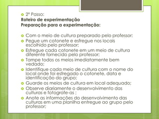  2º Passo:
Roteiro de experimentação
Preparação para a experimentação:
 Com o meio de cultura preparado pelo professor:
 Pegue um cotonete e esfregue nos locais
escolhido pelo professor;
 Esfregue cada cotonete em um meio de cultura
diferente fornecido pelo professor;
 Tampe todos os meios imediatamente bem
vedado;
 Identifique cada meio de cultura com o nome do
local onde foi esfregado o cotonete, data e
identificação do grupo;
 Guarde os meios de cultura em local adequado;
 Observe diariamente o desenvolvimento das
culturas e fotografe-as ;
 Anote as informações do desenvolvimento das
culturas em uma planilha entregue ao grupo pelo
professor;
 