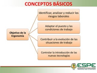 CONCEPTOS BÁSICOS
Objetivo de la
Ergonomía
Identificar, analizar y reducir los
riesgos laborales
Adaptar el puesto y las
condiciones de trabajo
Contribuir a la evolución de las
situaciones de trabajo
Controlar la introducción de las
nuevas tecnologías
 