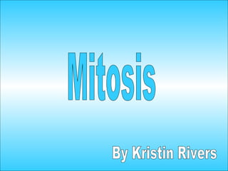 Mitosis By Kristin Rivers 