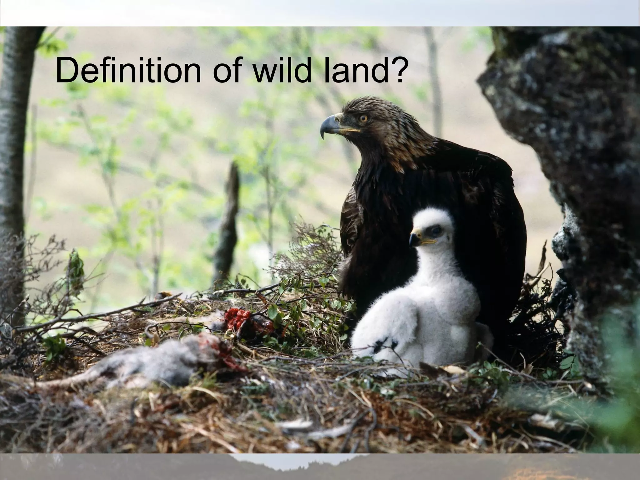 Definition of wild land?
 