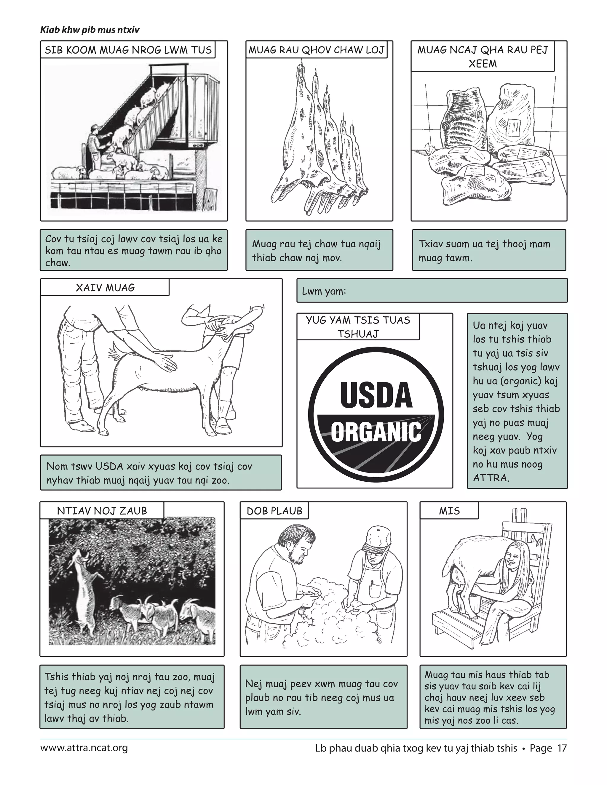 An Illustrated Guide to Sheep and Goat Production | PDF | Agriculture ...