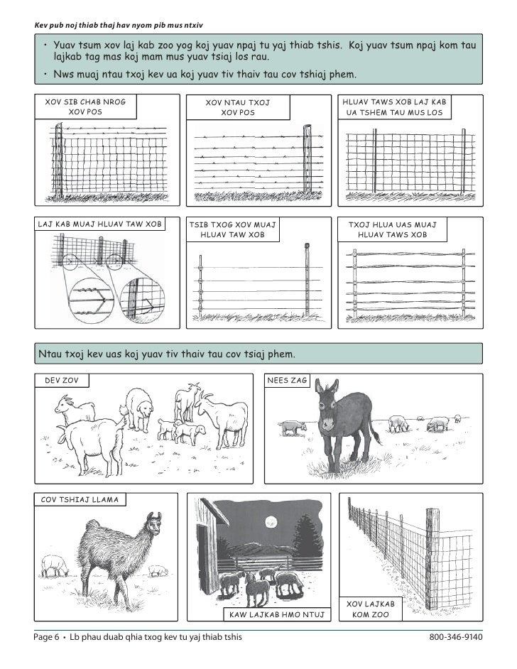 An Illustrated Guide to Sheep and Goat Production
