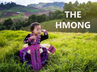 THE
HMONG
 