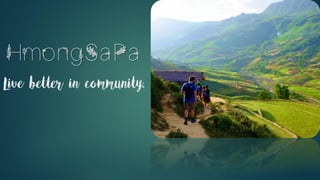HmongSaPa
Live better in community.
 