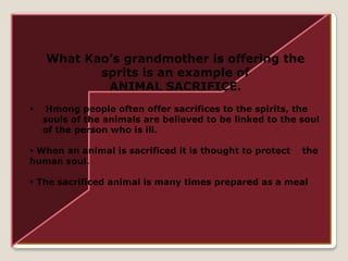 What Kao’s grandmother is offering the sprits is an example of ANIMAL SACRIFICE. Hmong people often offer sacrifices to the spirits, the souls of the animals are believed to be linked to the soul of the person who is ill.