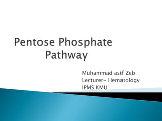 Muhammad asif Zeb
Lecturer- Hematology
IPMS KMU
 