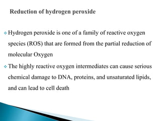  Hydrogen peroxide is one of a family of reactive oxygen
species (ROS) that are formed from the partial reduction of
molecular Oxygen
 The highly reactive oxygen intermediates can cause serious
chemical damage to DNA, proteins, and unsaturated lipids,
and can lead to cell death
 
