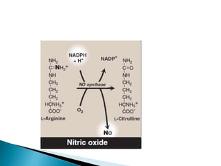 Hmp shunt pathway