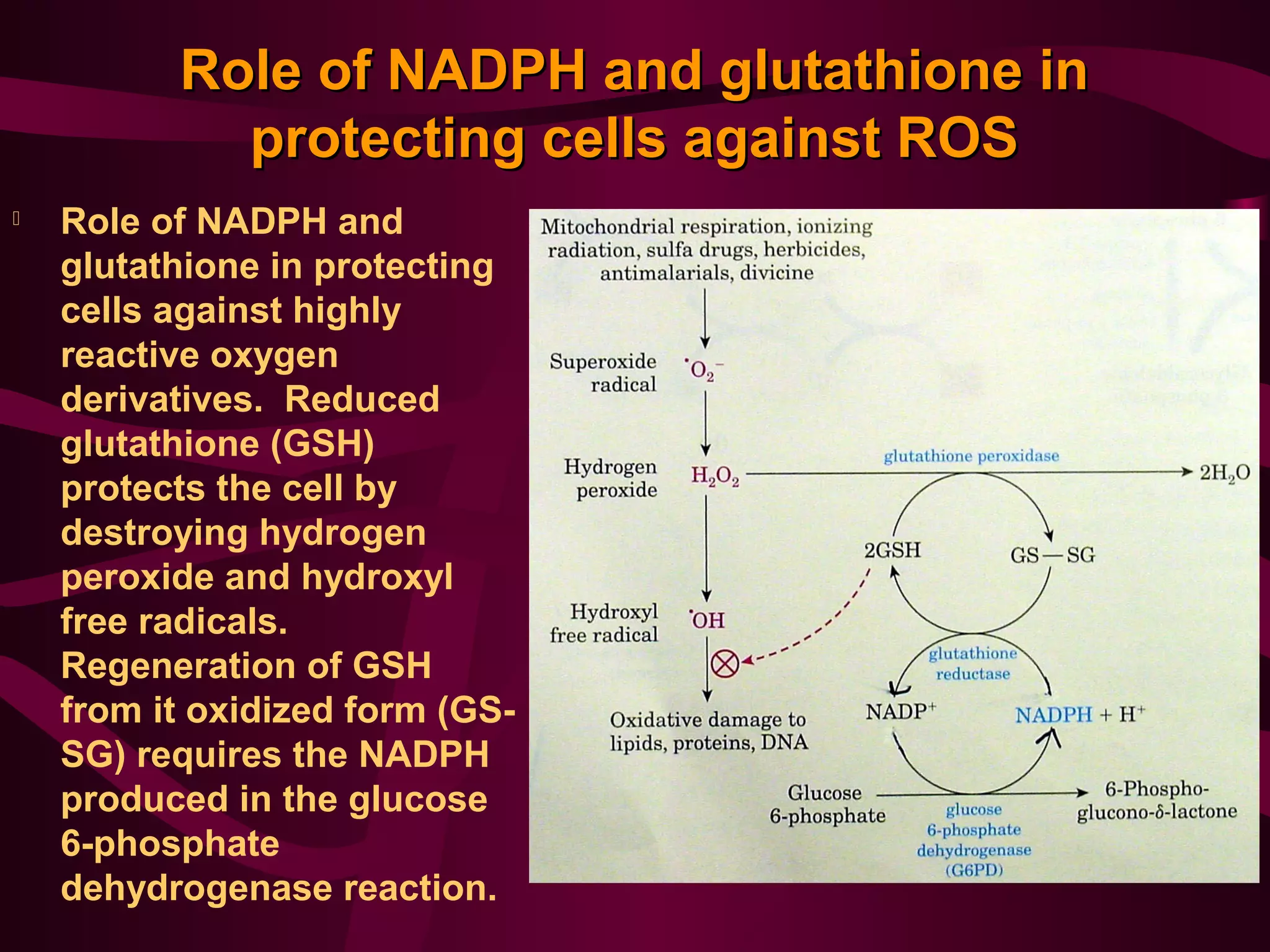 glutathione suppositories usa Bright-skin Suppositories