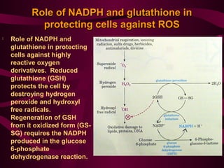 cjc-1295 ipamorelin side effects insulin sensitivity CJC 1295 Ipamorelin Erectile Dysfunction: What the Evidence Actually Shows