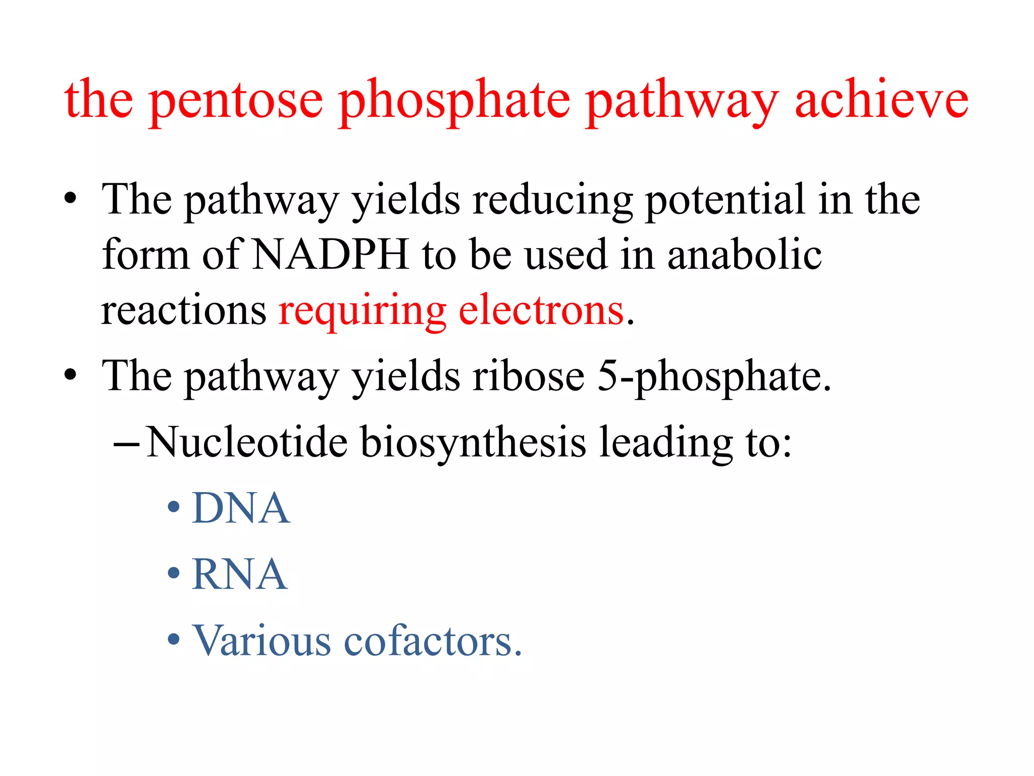the pentose phosphate pathway achieve
• The pathway yields reducing potential in the
form of NADPH to be used in anabolic
reactions requiring electrons.
• The pathway yields ribose 5-phosphate.
–Nucleotide biosynthesis leading to:
• DNA
• RNA
• Various cofactors.
 