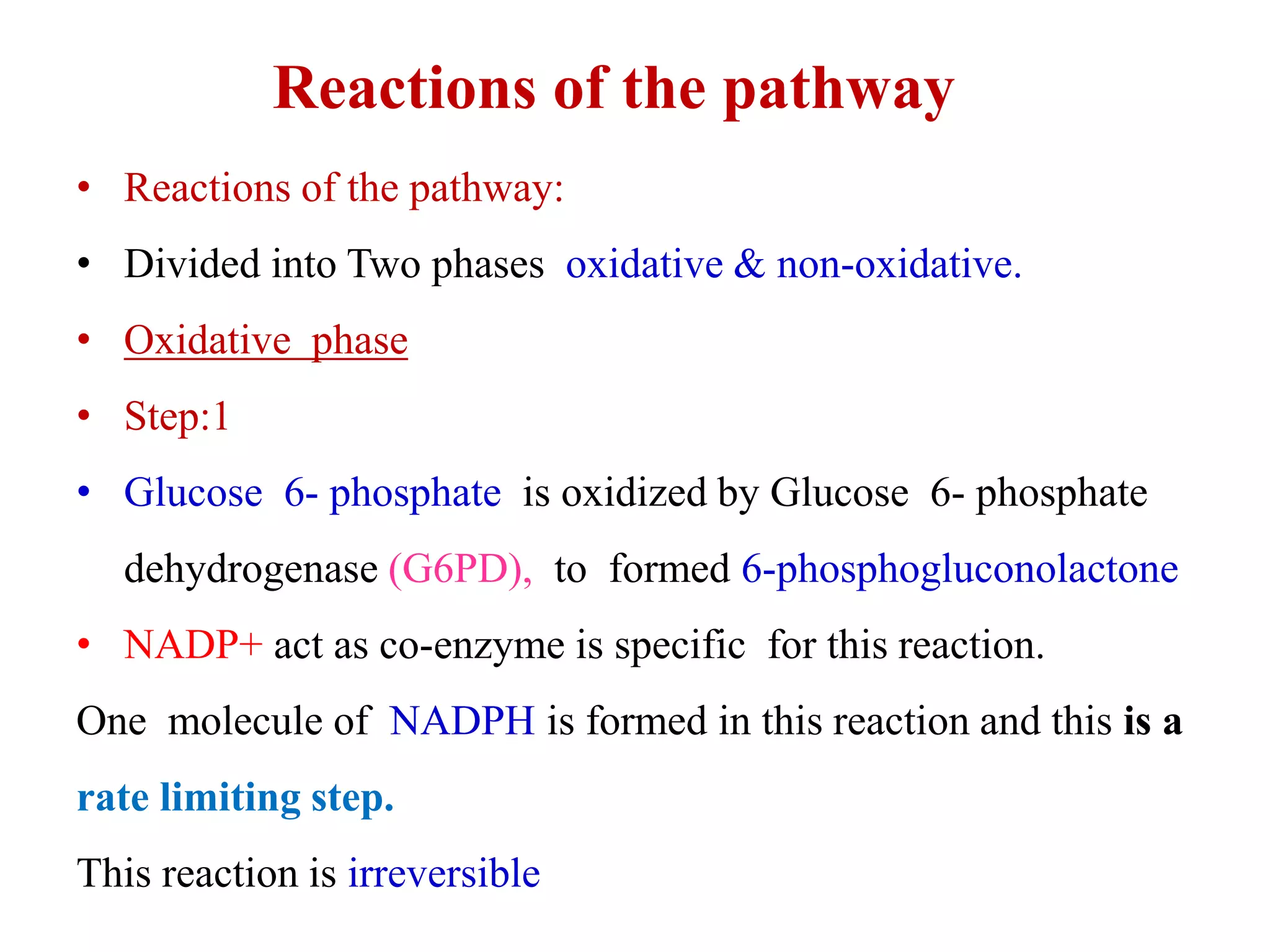 Reactions of the pathway
• Reactions of the pathway:
• Divided into Two phases oxidative & non-oxidative.
• Oxidative phase
• Step:1
• Glucose 6- phosphate is oxidized by Glucose 6- phosphate
dehydrogenase (G6PD), to formed 6-phosphogluconolactone
• NADP+ act as co-enzyme is specific for this reaction.
One molecule of NADPH is formed in this reaction and this is a
rate limiting step.
This reaction is irreversible
 