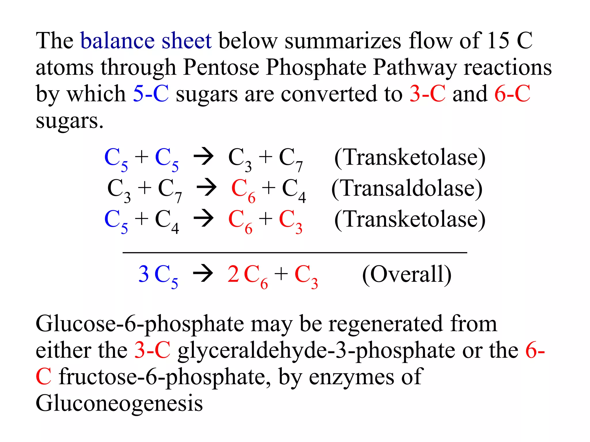 The balance sheet below summarizes flow of 15 C
atoms through Pentose Phosphate Pathway reactions
by which 5-C sugars are converted to 3-C and 6-C
sugars.
C5 + C5  C3 + C7 (Transketolase)
C3 + C7  C6 + C4 (Transaldolase)
C5 + C4  C6 + C3 (Transketolase)
____________________________
3 C5  2 C6 + C3 (Overall)
Glucose-6-phosphate may be regenerated from
either the 3-C glyceraldehyde-3-phosphate or the 6-
C fructose-6-phosphate, by enzymes of
Gluconeogenesis
 