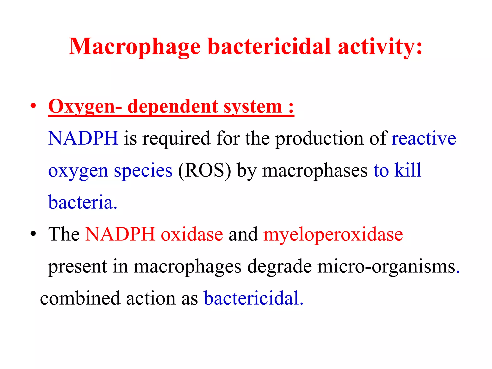 Macrophage bactericidal activity:
• Oxygen- dependent system :
NADPH is required for the production of reactive
oxygen species (ROS) by macrophases to kill
bacteria.
• The NADPH oxidase and myeloperoxidase
present in macrophages degrade micro-organisms.
combined action as bactericidal.
 