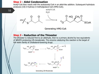 Hioester R Comprehensive Lecture on Terpenes and Terpenoid Biosynthesis in Natural ...