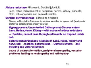 14
Aldose reductaseAldose reductase- Glucose to Sorbitol [glucitol]:
Lens, retina, Schwann cell of peripheral nerves, kidney, placenta,
RBC, cells of ovaries and seminal vesicles.
Sorbitol dehydrogenaseSorbitol dehydrogenase- Sorbitol to Fructose
Glucoe to Sorbitol to Fructose: in seminal vesicles for sperm cell [fructose is
preferred carbohydrate energy source]
Hyperglycemia: Uncontrolled DM-large amt Glucose entersHyperglycemia: Uncontrolled DM-large amt Glucose enters
Lens, Retina,Nerve, Kidney – with action of aldose reductaseLens, Retina,Nerve, Kidney – with action of aldose reductase
→↑→↑Sorbitol, cannot pass through cell memb, so trapped insideSorbitol, cannot pass through cell memb, so trapped inside
cell.cell.
Sorbitol dehydrogenase is absent in Lens, retina, kidney andSorbitol dehydrogenase is absent in Lens, retina, kidney and
nerve cell →↑sorbitol accumulates →Osmotic effects →cellnerve cell →↑sorbitol accumulates →Osmotic effects →cell
swelling and water retention:swelling and water retention:
cause of cataract formation, peripheral neuropathy, vascularcause of cataract formation, peripheral neuropathy, vascular
problems leading to nephropathy and retinopathyproblems leading to nephropathy and retinopathy
 