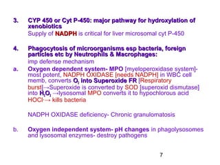 7
3.3. CYP 450 or Cyt P-450: major pathway for hydroxylation ofCYP 450 or Cyt P-450: major pathway for hydroxylation of
xenobioticsxenobiotics
Supply of NADPHNADPH is critical for liver microsomal cyt P-450
4.4. Phagocytosis of microorganisms esp bacteria, foreignPhagocytosis of microorganisms esp bacteria, foreign
particles etc by Neutrophils & Macrophages:particles etc by Neutrophils & Macrophages:
imp defense mechanism
a. Oxygen dependent system- MPO [myeloperoxidase system]-
most potent, NADPH OXIDASE [needs NADPH] in WBC cell
memb, converts OO22 into Superoxide FRinto Superoxide FR [Respiratory
burst]→Superoxide is converted by SOD [superoxid dismutase]
into HH22OO22 →lysosomal MPO converts it to hypochlorous acid
HOCl·→ kills bacteria
NADPH OXIDASE deficiency- Chronic granulomatosis
b. Oxygen independent system- pH changes in phagolysosomes
and lysosomal enzymes- destroy pathogens
 