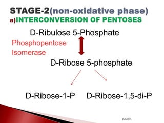 D-Ribulose 5-Phosphate
Phosphopentose
Isomerase

D-Ribose 5-phosphate

D-Ribose-1-P

D-Ribose-1,5-di-P
2-2-2013

 