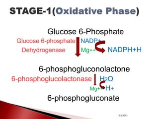 Glucose 6-Phosphate
Glucose 6-phosphate NADP+
Dehydrogenase
Mg++

NADPH+H

6-phosphogluconolactone
6-phosphoglucolactonase

H2O
Mg++ H+

6-phosphogluconate
2-2-2013

 