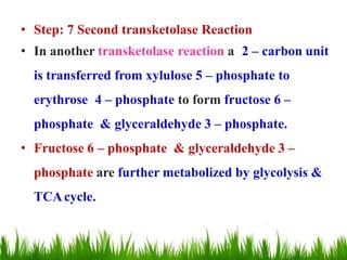 • Step: 7 Second transketolase Reaction
• In another transketolase reaction a 2 – carbon unit
is transferred from xylulose 5 – phosphate to
erythrose 4 – phosphate to form fructose 6 –
phosphate & glyceraldehyde 3 – phosphate.
• Fructose 6 – phosphate & glyceraldehyde 3 –
phosphate are further metabolized by glycolysis &
TCAcycle.
 