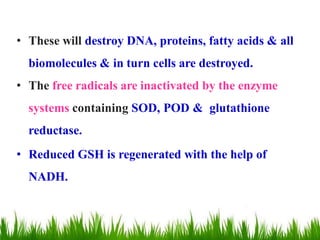 • These will destroy DNA, proteins, fatty acids & all
biomolecules & in turn cells are destroyed.
• The free radicals are inactivated by the enzyme
systems containing SOD, POD & glutathione
reductase.
• Reduced GSH is regenerated with the help of
NADH.
 