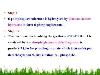 • Step:2
• 6-phosphogluconolactone is hydrolysed by glucono lactone
hydrolase to form 6-phosphogluconate.
• Step : 3
• The next reaction involving the synthesis of NADPH and is
catalysed by 6 – phosphogluconate dehydrogenase to
produce 3 keto 6 – phosphogluconate which then undergoes
decarboxylation to give ribulose 5 – phosphate.
 