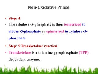 Non-Oxidative Phase
• Step: 4
• The ribulose -5-phosphate is then isomerized to
ribose -5-phosphate or epimerised to xylulose -5-
phosphate
• Step: 5 Transketolase reaction
• Transketolase is a thiamine pyrophosphate (TPP)
dependent enzyme.
 