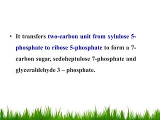 • It transfers two-carbon unit from xylulose 5-
phosphate to ribose 5-phosphate to form a 7-
carbon sugar, sedoheptulose 7-phosphate and
glyceraldehyde 3 – phosphate.
 
