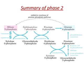 Summary of phase 2 
 