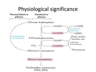 Physiological significance 
 
