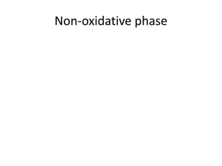 Non-oxidative phase 
 