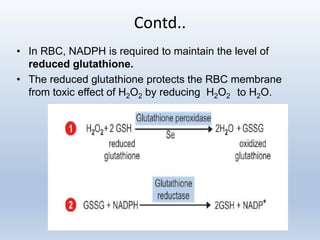 HMP Shunt & Uronic Acid PAthway | PPTX
