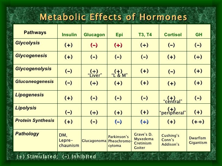 Hormone Metabolism