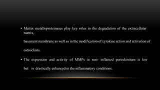 • Matrix metalloproteinases play key roles in the degradation of the extracellular
matrix,
basement membrane as well as in the modification of cytokine action and activation of
osteoclasts.
• The expression and activity of MMPs in non- inflamed periodontium is low
but is drastically enhanced in the inflammatory conditions.
 