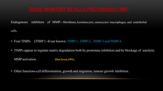 Endogenous inhibitors of MMP-- fibroblasts, keratinocytes, monocytes/ macrophages, and endothelial
cells.
• Four TIMPs (TIMP 1–4) are known: TIMP-1 ,TIMP-2 , TIMP-3 and TIMP-4.
• TIMPs appear to regulate matrix degradation both by proteinase inhibition and by blockage of autolytic
MMP activation. (DeClerck,1991).
• Other functions-cell differentiation, growth and migration, tumour growth inhibition.
TISSUE INHIBITORY METALLO PROTEINASES (TIMP)
 