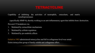 TETRACYCLINE
Capability of inhibiting the activities of neutrophils, osteoclasts, and matrix
metalloproteinases
(specifically MMP-8), thereby working as an anti-inflammatory agent that inhibits bone destruction.
Prevent CT breakdown via-
1. Mediated by extracellular mechanisms
2. Mediated by cellular regulation
3. Mediated by pro anabolic effects
Golub in 1983 administered minocycline and fall in collagenase level was noted.
Entire tetracycline group of family exhibit anti collagenase effect.
 