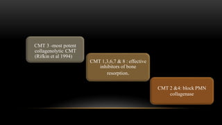 CMT 3 -most potent
collagenolytic CMT
(Rifkin et al 1994)
CMT 1,3,6,7 & 8 : effective
inhibitors of bone
resorption.
CMT 2 &4: block PMN
collagenase
 