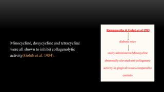 Minocycline, doxycycline and tetracycline
were all shown to inhibit collagenolytic
activity(Golub et al. 1984).
Ramamurthy & Golub et al 1983
diabetic mice
orally administered Minocycline
abnormally elevated anti-collagenase
activity in gingival tissues compared to
controls
 