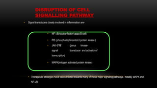 DISRUPTION OF CELL
SIGNALLING PATHWAY
• Signal transducers closely involved in inflammation are-
• NF-κB(nuclear factor kappa B cell)
• PI3 (phosphatidylinositol-3 protein kinase )
• JAK-STA
T (janus kinase-
signal transducer and activator of
transcription)
• MAPK(mitogen activated protein kinase)
• Therapeutic strategies have been directed towards many of these major signaling pathways, notably MAPK and
NF-κB
 