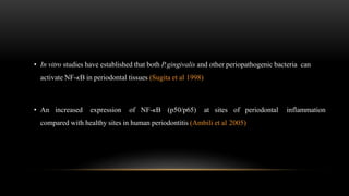 • In vitro studies have established that both P
.gingivalis and other periopathogenic bacteria can
activate NF-κB in periodontal tissues (Sugita et al 1998)
• An increased expression of NF-κB (p50/p65) at sites of periodontal inflammation
compared with healthy sites in human periodontitis (Ambili et al 2005)
 