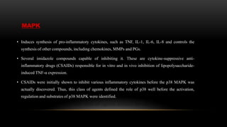 MAPK
• Induces synthesis of pro-inflammatory cytokines, such as TNF, IL-1, IL-6, IL-8 and controls the
synthesis of other compounds, including chemokines, MMPs and PGs.
• Several imidazole compounds capable of inhibiting it. These are cytokine-suppressive anti-
inflammatory drugs (CSAIDs) responsible for in vitro and in vivo inhibition of lipopolysaccharide-
induced TNF-α expression.
• CSAIDs were initially shown to inhibit various inflammatory cytokines before the p38 MAPK was
actually discovered. Thus, this class of agents defined the role of p38 well before the activation,
regulation and substrates of p38 MAPK were identified.
 