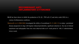 IL-11 has been shown to inhibit the production of IL-1β , TNF-α,IL-12 and nitric oxide (NO) in a
variety of inflammatory conditions.
Martuscelli et al. (2000,2006) investigated the ability of recombinant IL-11 (rhIL-11) to reduce periodontal
disease progression in dogs with ligature induced periodontitis, significant reduction in the rate of clinical
attachment and radiographic bone loss were observed after an 8- week period of rhIL-11 administration,
twice a week.
RECOMBINANT ANTI
INFLAMMATORY CYTOKINES
 