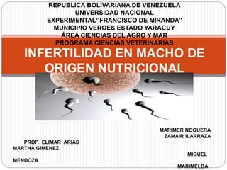 INFERTILIDAD EN MACHO DE
ORIGEN NUTRICIONAL
REPUBLICA BOLIVARIANA DE VENEZUELA
UNIVERSIDAD NACIONAL
EXPERIMENTAL‘’FRANCISCO DE MIRANDA’’
MUNICIPIO VEROES ESTADO YARACUY
ÁREA CIENCIAS DEL AGRO Y MAR
PROGRAMA CIENCIAS VETERINARIAS
MARIMER NOGUERA
ZAMAIR ILARRAZA
PROF. ELIMAR ARIAS
MARTHA GIMENEZ
MIGUEL
MENDOZA
MARIMELBA
 