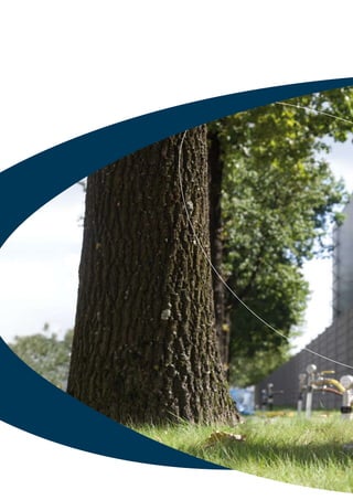 HMVT: in situ remediation