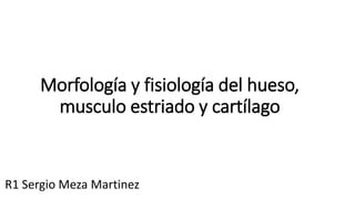 Morfología y fisiología del hueso,
musculo estriado y cartílago
R1 Sergio Meza Martinez
 